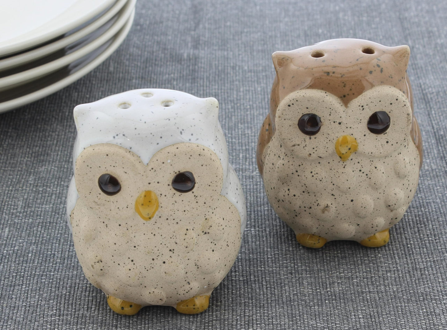 The Bridge Collection Stoneware Owl Salt and Pepper Shakers
