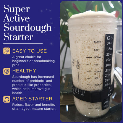 Mature Sourdough Starter Culture – 100+ Years Old Dehydrated Sourdough Starter Kit for Delicious Homemade Sourdough Bread – All-Natural and Healthy - Beginner Friendly, Fast reactivation and Expert Support
