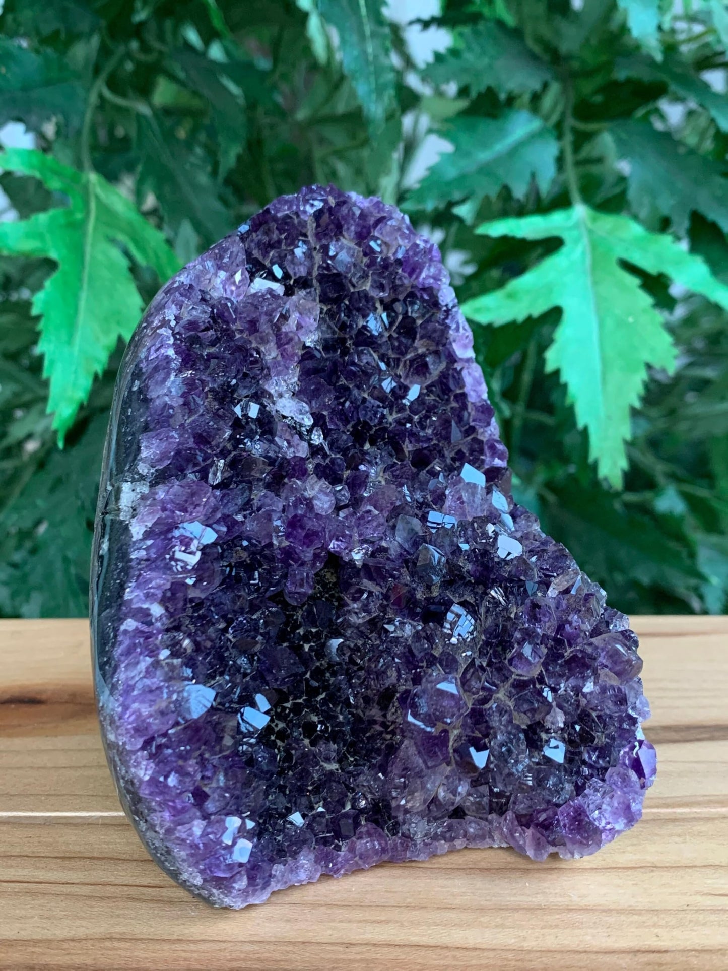 GAF TREASURES Finely Polished Uruguayan Deep Purple Amethyst Cluster with Cut Base, Standing Amethyst Geode, Raw Amethyst, Amethyst Cathedral, Amethyst Druze (0.5-1 lb)