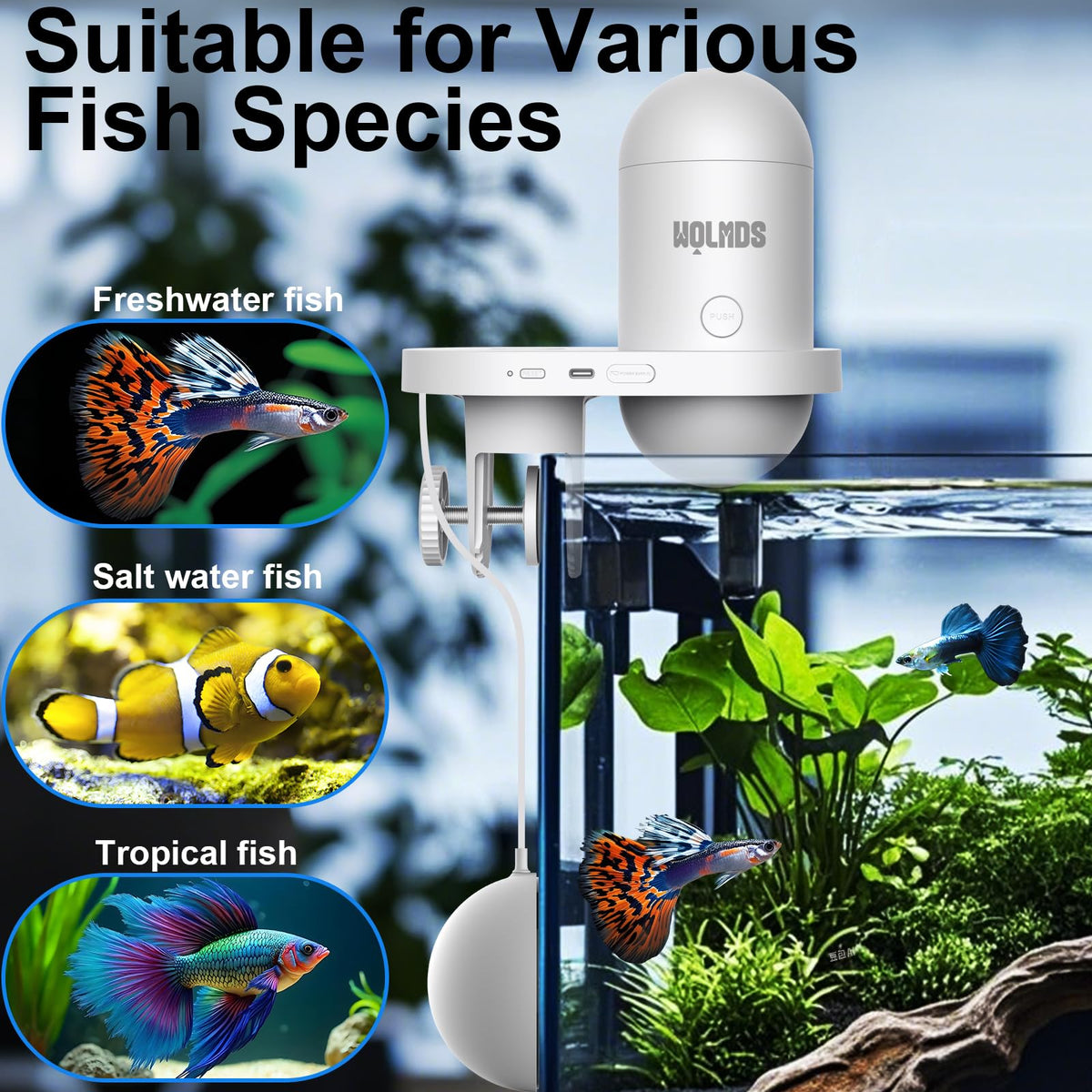 Wolmds WiFi Automatic Fish Feeder with 2.5K Camera, 2.4/5G Smart App Remote Contro & Vacation Feeding Timer, Precision Aquatic Pet Feeder, 230ML Moisture-Proof Fish Food Dispenser for 10+ Gallon Tank