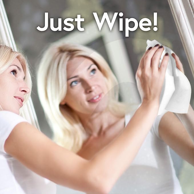 Windex Wipes Glass Cleaning Ammonia Free, Pre-Moistened Wipes