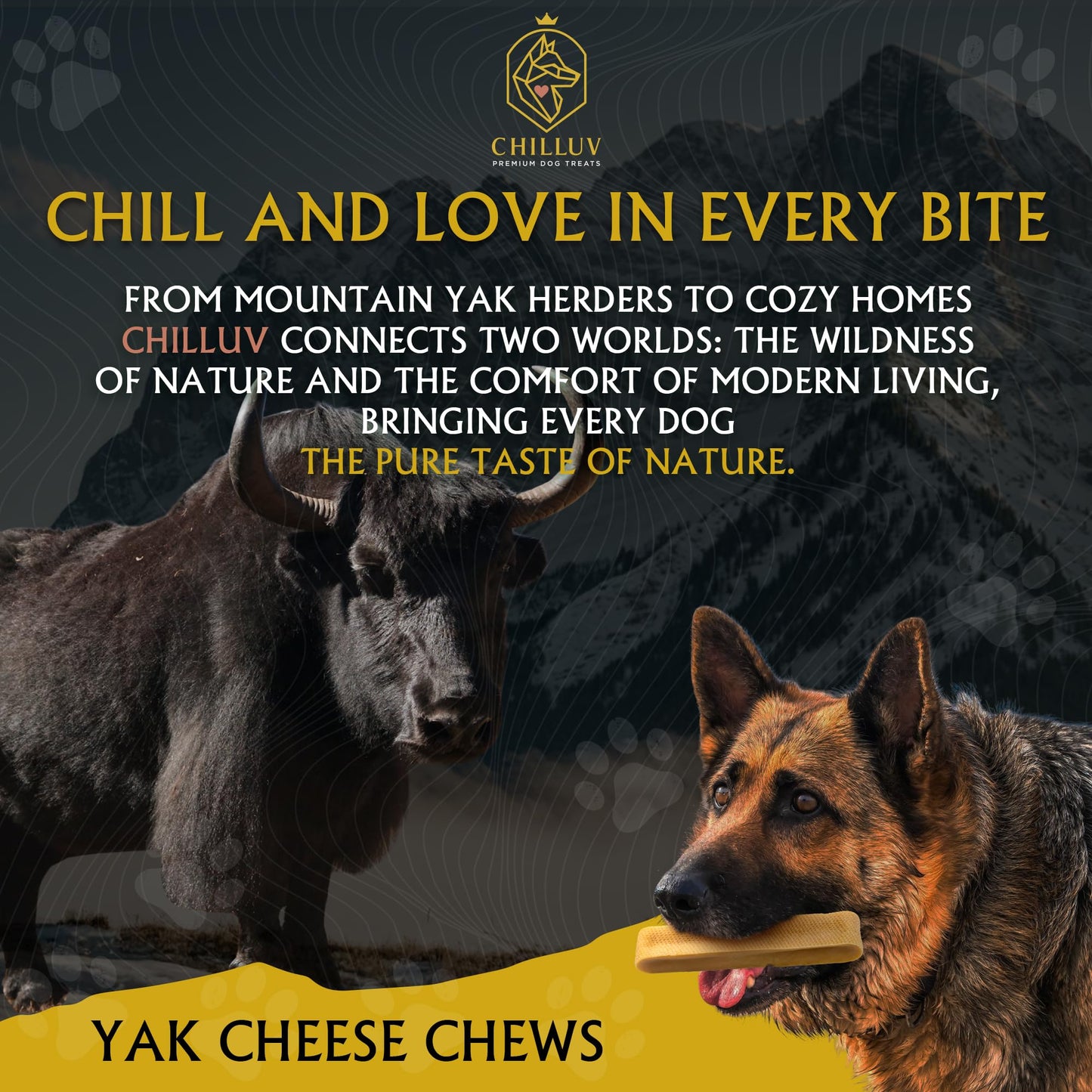 CHILLUV Himalayan Yak Cheese Dog Chews - All Natural, Long Lasting, High Protein, Odor-Free, Grain & Lactose Free, Healthy Dental Treats for Aggressive Chewers (Small - 4 Chews, Original)