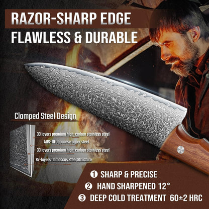 DRAGON RIOT Damascus Chef Knife Set, 2pcs VG10 Professional Kitchen Knife Set, Ultra Sharp Blade & Ergonomic Wooden Handle, Full Tang Forged Damascus Steel Kitchen Cooking Knife Set with Gift Box