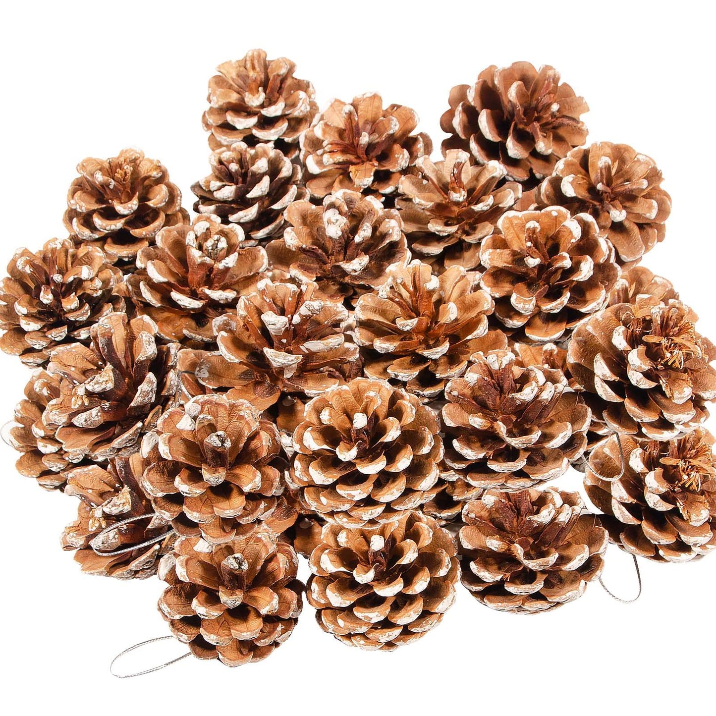 24PCS Christmas Natural Pine Cones,Rustic Pinecones with String for Crafts & Decorating Winter Xmax Holidays Vase and Table Bowl Fillers(Dia. 1.57-1.96 Inches)