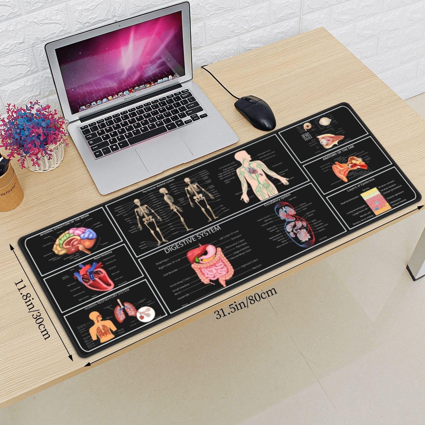 Medical Anatomy Human Physiology Medicine Doctor Assistant Anatomy Model Physiology Gaming Keyboard Mouse Pad Mousepad Desk Mat Huge Extended Xl Stitched Edge Rubber Sole For Home Office(31.5"X 11.8")