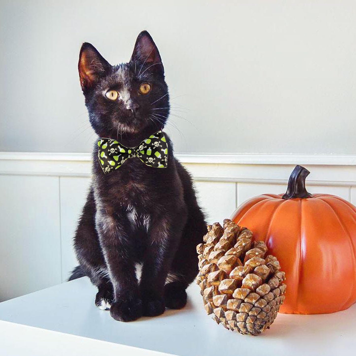 2 Pack Halloween Cat Collar with Bell, Holiday Kitty Kitten Skull and White Ghost Patterns for Boys Girls Males Female Cats