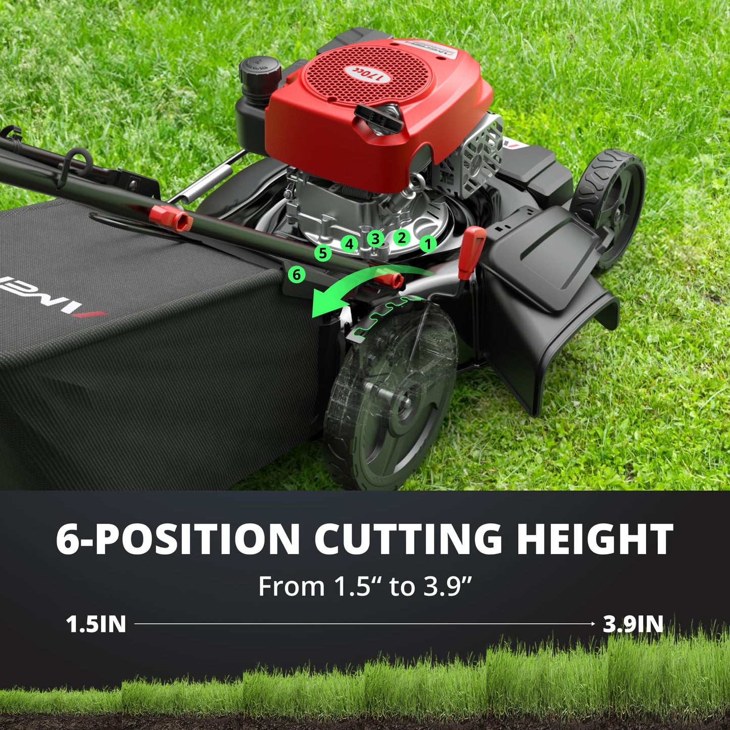 AMERISUN Gas Lawn Mower, 170cc OHV Engine with Forced Air Cooling, 21" Steel Deck, 3-in-1 Mulching/Bagging/Side Discharge, 6 Cutting Heights, 1.4-Bushel Grass Catcher, Self-Propelled