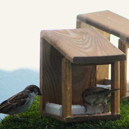 Bird feeder