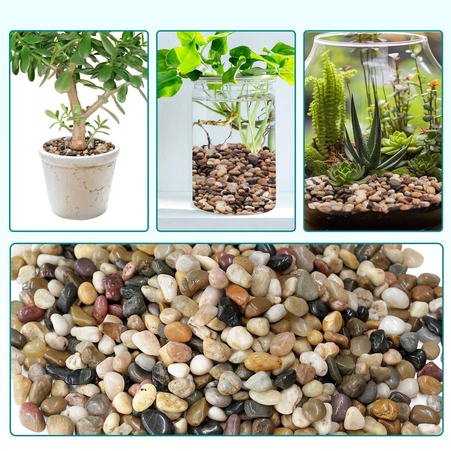 Rahato 5 lbs Pebbles for Indoor Plants, Vase, Succulent, 3/8" Gravel for Plants, Pots Indoor, Bamboo Rocks for Bamboo Plants, Decorative Small River Rock, Highly Polished