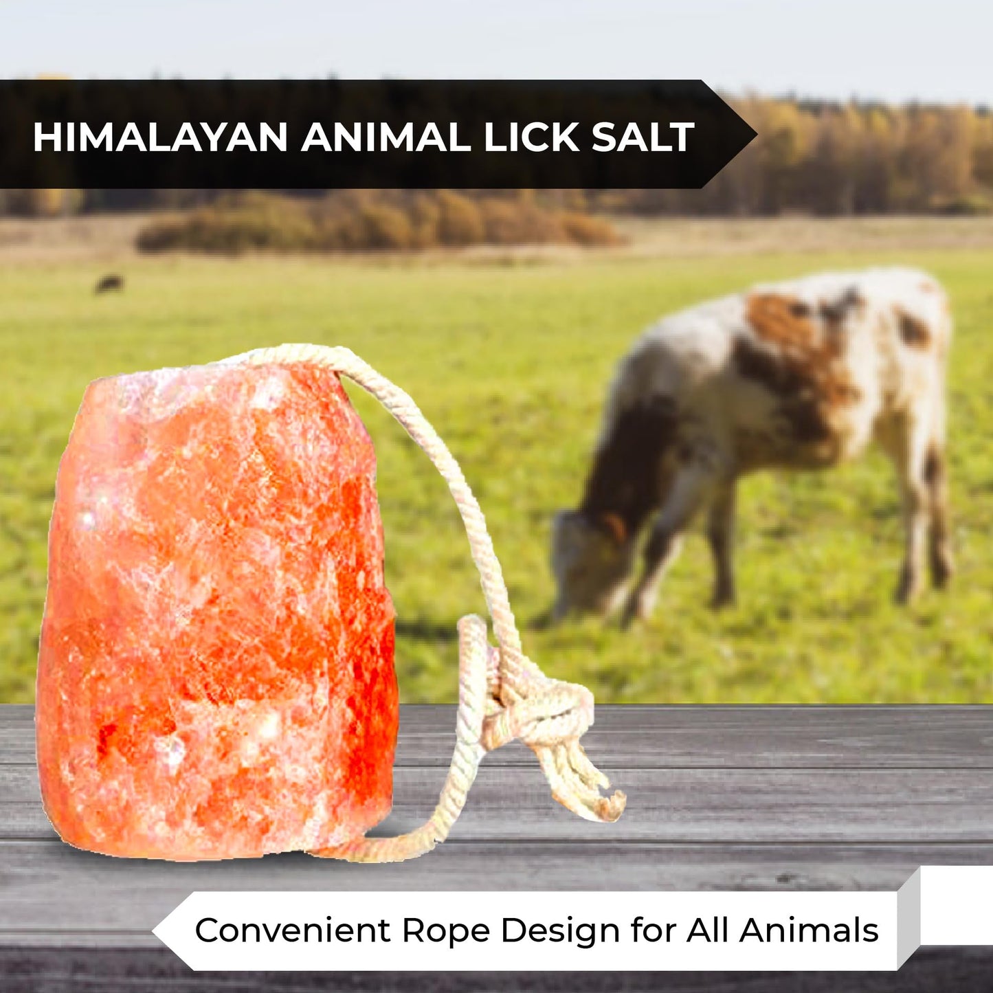Pacific Pelican Himalayan Pink Salt Licks for Animals – Natural Salt Block with Rope for Horses, Cows, Deer & More – No Harmful Elements - Approximately 9 lbs (Pack of 2)