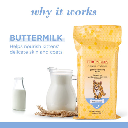 Burt's Bees for Pets Kitten Wipes with Buttermilk - Pet Wipes for Cats Waterless Bathing & Cleaning, Kitten Essentials for Indoor Kittens, Gentle Cat Grooming Wipe for Face, Paws & Butt, 50 Count
