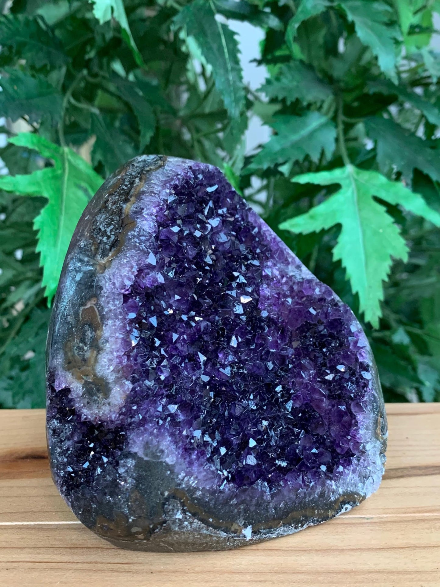 GAF TREASURES Finely Polished Uruguayan Deep Purple Amethyst Cluster with Cut Base, Standing Amethyst Geode, Raw Amethyst, Amethyst Cathedral, Amethyst Druze (0.5-1 lb)