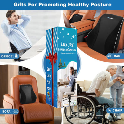 Lumbar Support Pillow for Office Chair Car, Gaming Chair Lower Back Pain Relief Memory Foam Cushion with Greeting Card,3D Mesh Cover Ergonomic Back Rest, Birthday Gift for Dad,Stocking Stuffers