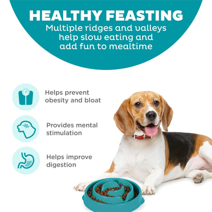 Outward Hound Fun Feeder Slo Bowl, Slow Feeder Dog Bowl, Medium/Mini, Turquoise