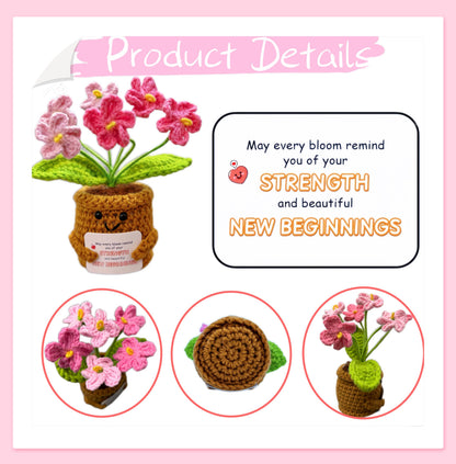 Crochet Gift for Women Graduation, Pink Forget-Me-Not Flowers Set of 6 with emotional support Card, Good Luck Gift for New Job, Retirement, Encouragement, handmade Home Decor for Her, Desk Plant