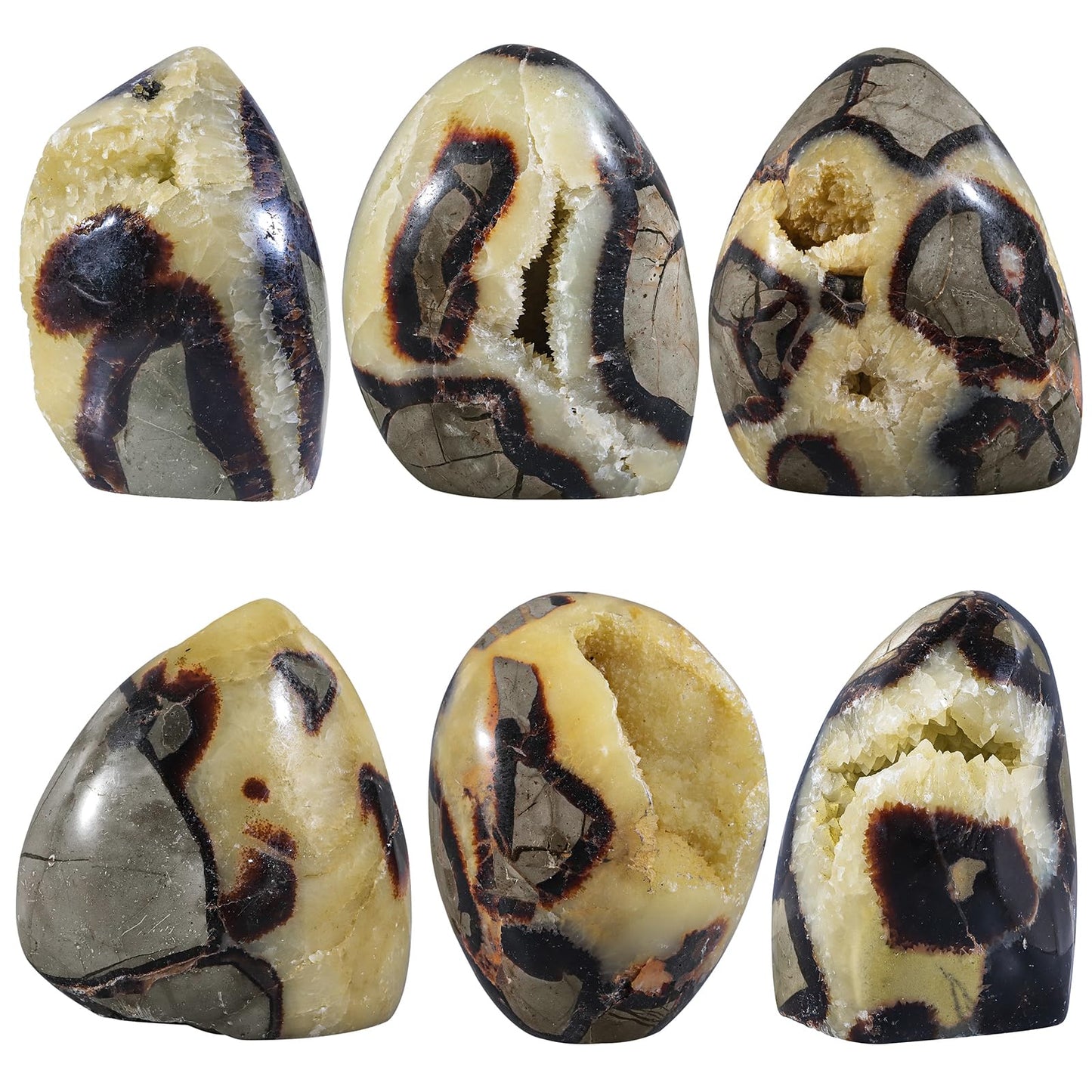 Sportmusies Natural Septarian Dragon Stone Geode Mineral Specimen Decoration for Reiki Home Office Desk, 2.36-3.93 Inches