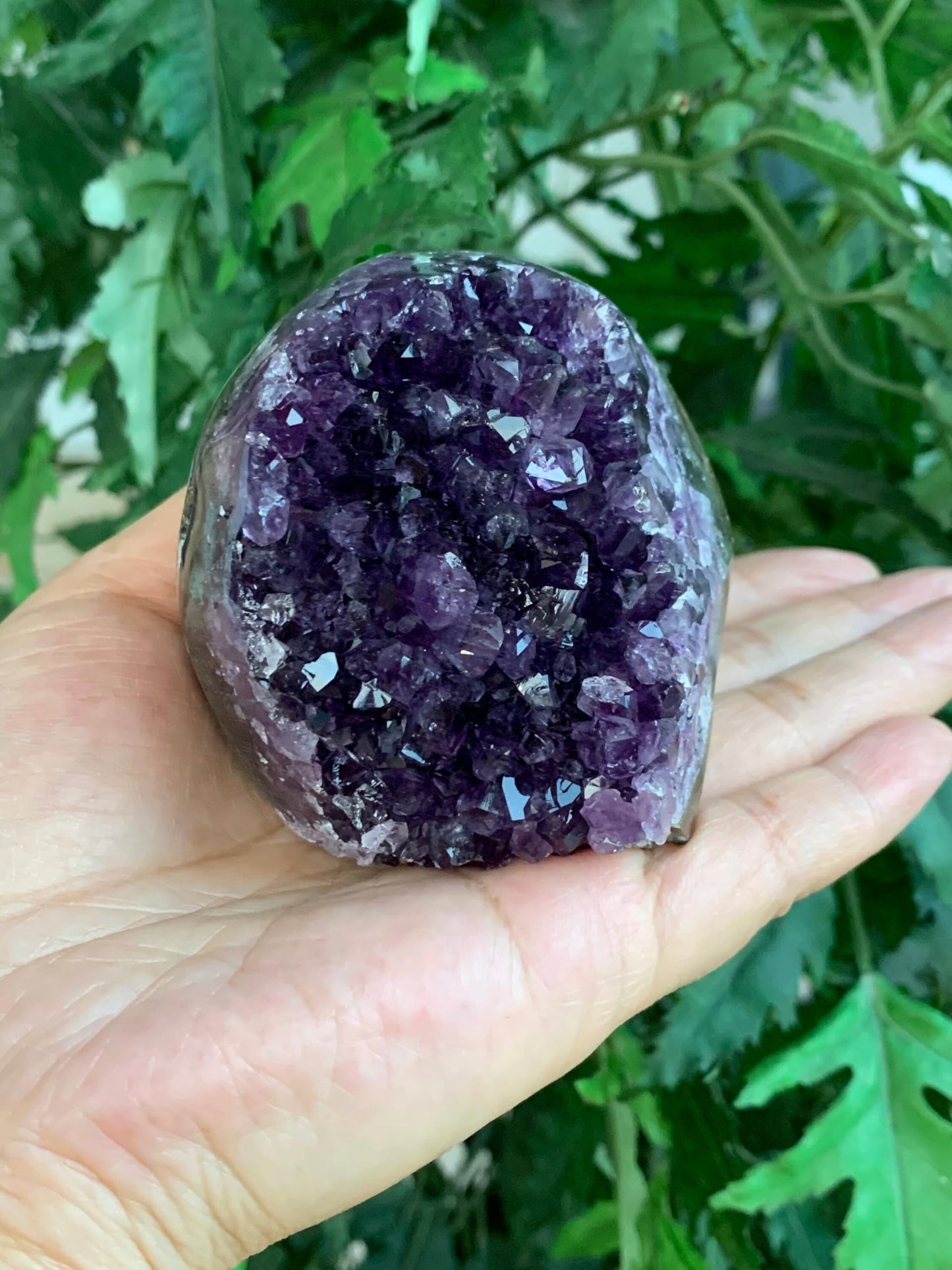 GAF TREASURES Finely Polished Uruguayan Deep Purple Amethyst Cluster with Cut Base, Standing Amethyst Geode, Raw Amethyst, Amethyst Cathedral, Amethyst Druze (0.5-1 lb)