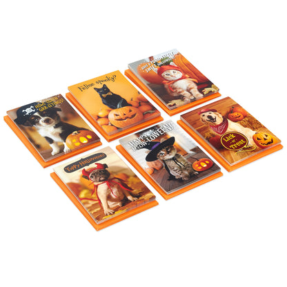 Hallmark Halloween Cards Assortment, Pet Puns (48 Cards with Envelopes)