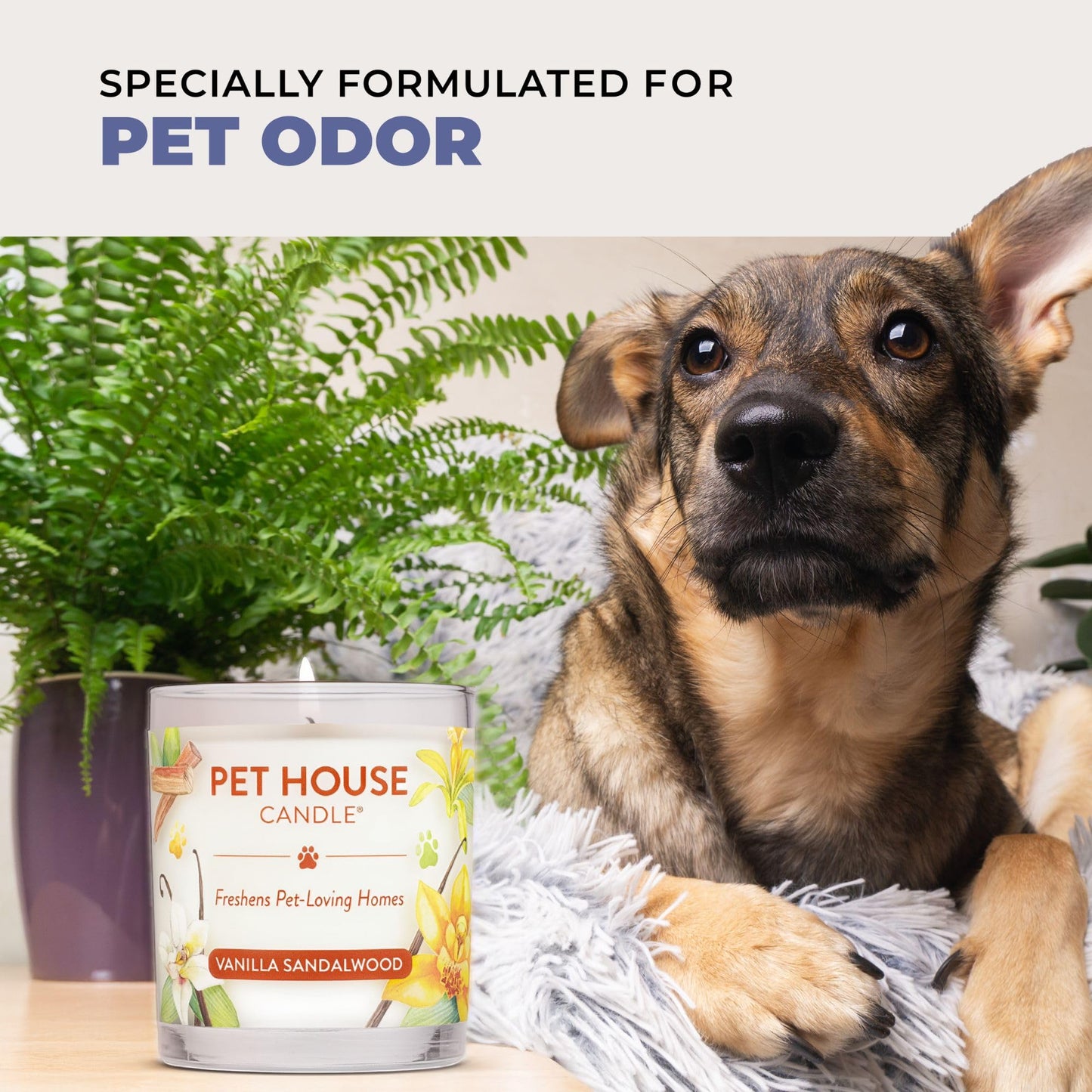 Pet House Candles, Clean Burning, Long Lasting Pet Odor Candles, Plant-Based, 60 Hour Burn Time - Tropical Fruit, 9 oz