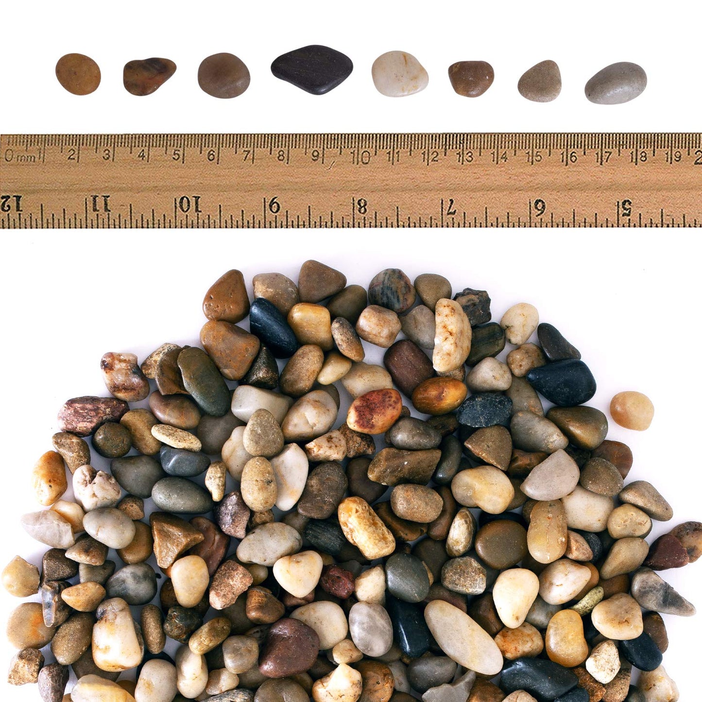 2 lbs Approx. 200 River Rocks Stones for Plants Pebbles for Indoor Plants | Aquarium Fish Tank Rocks | Polished Decorative Rocks for Vases (0.3-0.6 Inches)