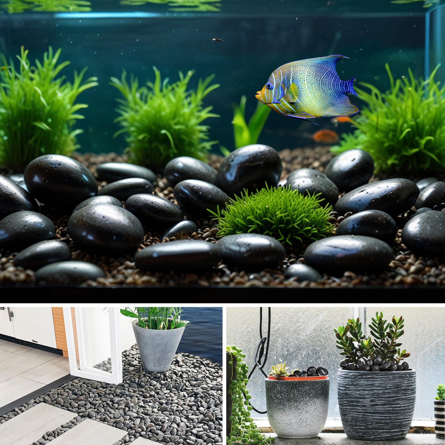 VINICS 5lbs Large Pebbles for Indoor Plants, 2-3 Inch Natural Black River Rocks for Aquarium, High Polished Decorative Stones for Vase Filler Fish Tank Landscaping Garden