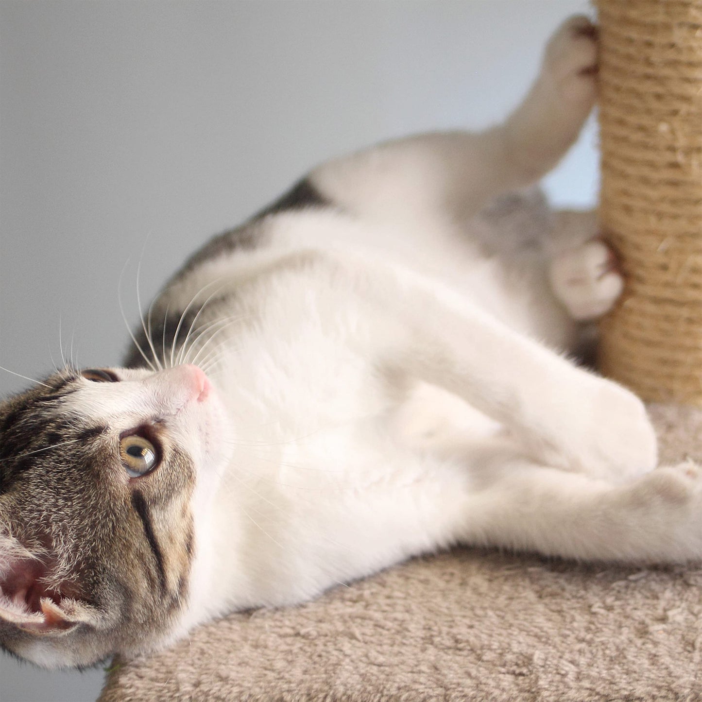 PETMAKER Cat Tree Condo 3 Tier with Condo and Scratching Posts, 37.5", Brown and Tan