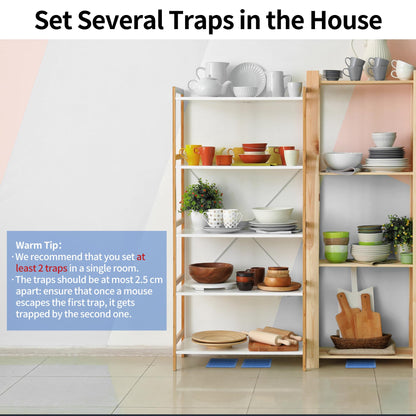 LULUCATCH Mouse & Insect Traps 12 Pack, Heavier Sticky Traps with Non-Toxic Glue for Small Mice & Insects. Sticky Mouse Traps Indoor, Easy to Set, Pet Safe Pest Control