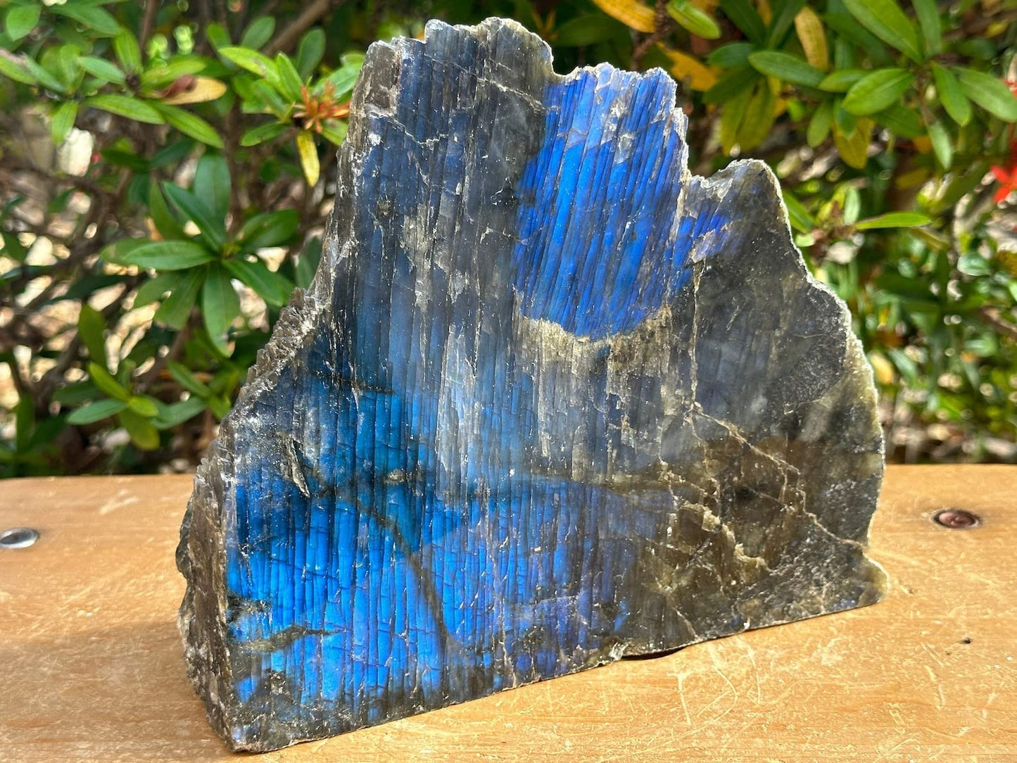 Natural Labradorite Slab, High Flash Free Standing Display Specimens, Raw Labradorite Slab Cut Base (0.5-1 lb)