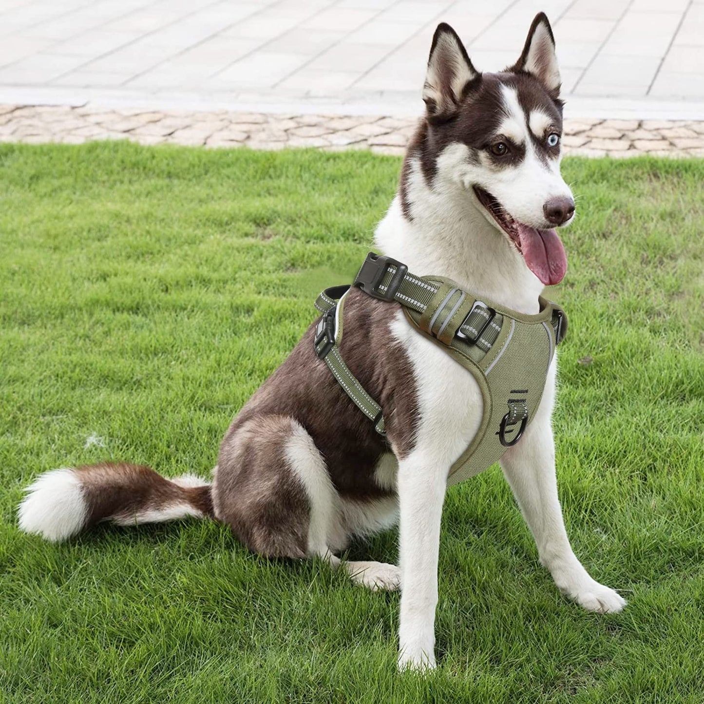 HEELE Dog Harness, No Pull Large, Release on Neck, Front Back Clips Dog Vest Harness Reflective Adjustable Padded, Easy Control Handle for Outdoor Walking Training, Green, L