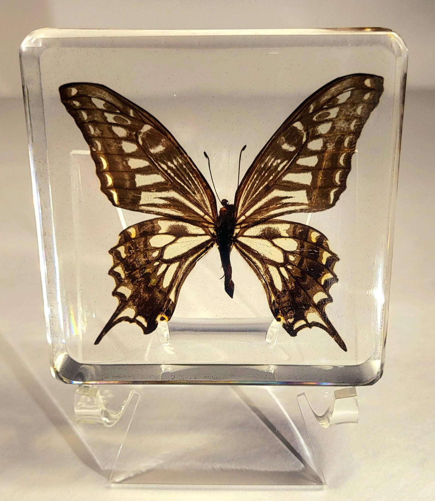 HQRP-Crystal 3" Acrylic Display Stand Pedestal for Crystal Heart / Slice / Slab and other Stones