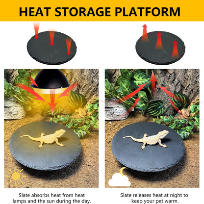 Tfwadmx Reptile Basking Platform,7.8IN Tortoise Rock Slate Plate Feeding Food Bowl Dish Turtle Bathing Resting Terrace for Lizard Bearded Dragon Chameleon Gecko Snake Frog Newt