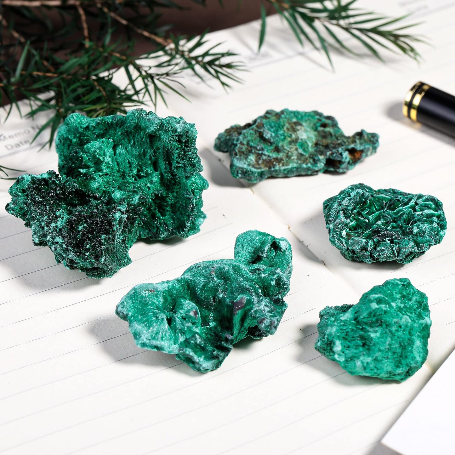 Amogeeli Natural Raw Malachite Crystal Cluster Specimen for Collection, Healing Mineral Stone Decoration for Home Office, 0.02-0.11 lb