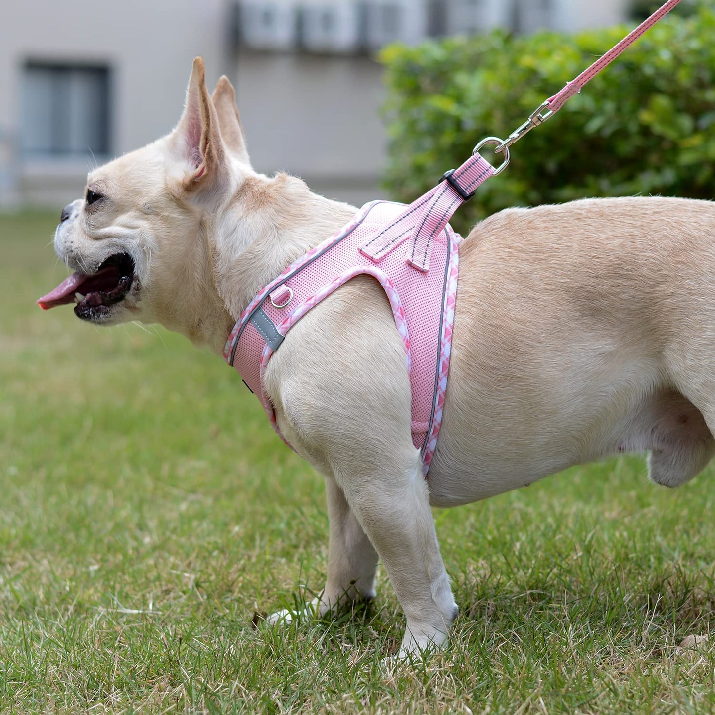 DORAMIO Step-in Dog Harness and Leash Set, Soft Mesh No-Chock Reflective Breathable Easy Walk Lightweight Vest Harnesses with Safety Buckle for Small Dogs, Cats, Puppies (Pink, XXS)
