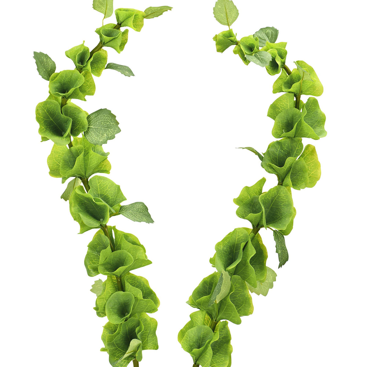 FiveSeasonStuff Artificial Bells of Ireland | Flower Greenery Fillers | Floral Bouquet Arrangement, 2 Stems