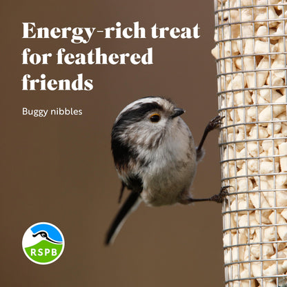 RSPB Buggy Nibble Treats, 550g, This Nibbles are like Hot Cakes to Wild Birds, A Delicacy that Few Birds Can Resist, Made with Mealworms, Premium UK Suet & Cereal. Supporting the RSPB