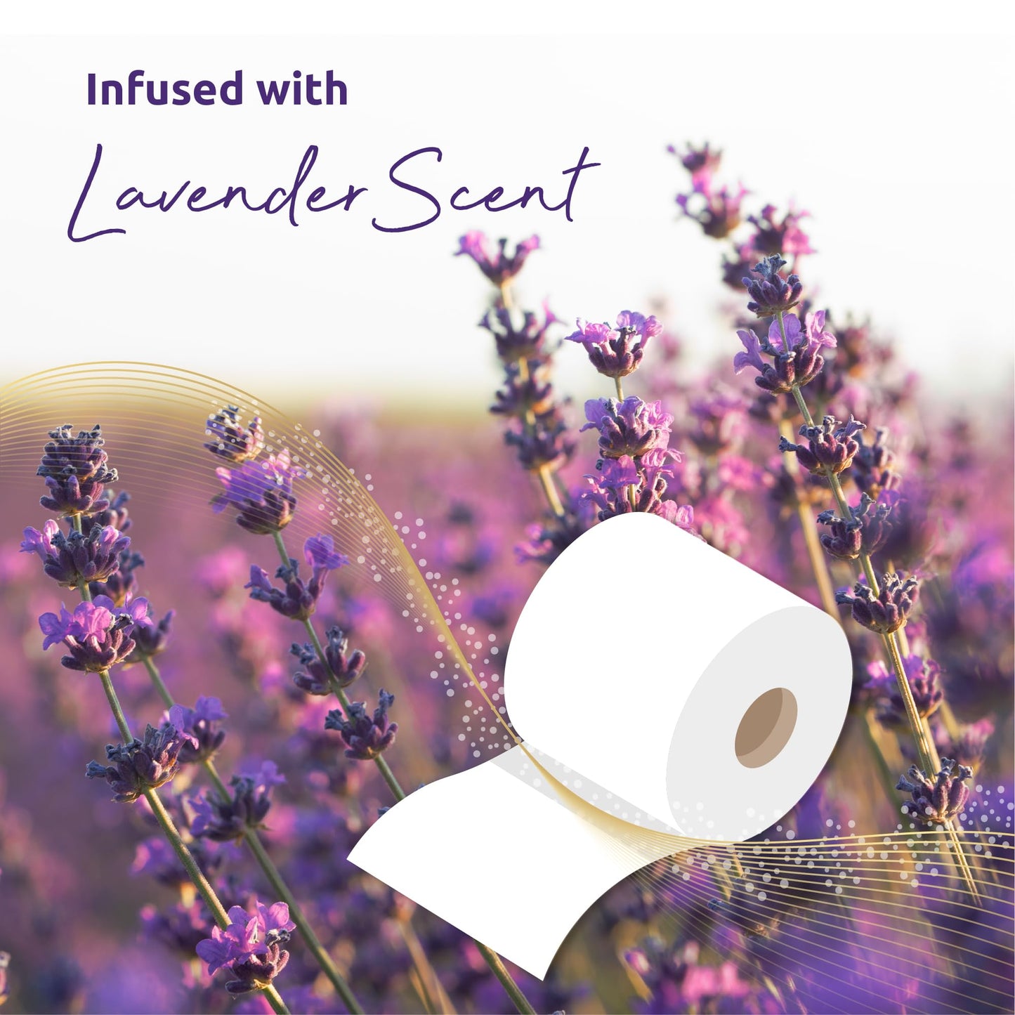 Phoenix Toilet Rolls – 60 Pack | 3 Ply Lavender Scented Toilet Paper | Bulk Buy, Soft, Quilted, Sustainably Sourced, Eco- Friendly Luxury Bathroom Tissue