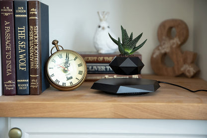 BandDlevs Floating Pots for Plants - Levitating Pot - Levitating Planter for Bonsai, Succulents, Air Plants - Floating Magnetic Display for Home Office Desks - Magnetic Levitation Plant Holder (Black)