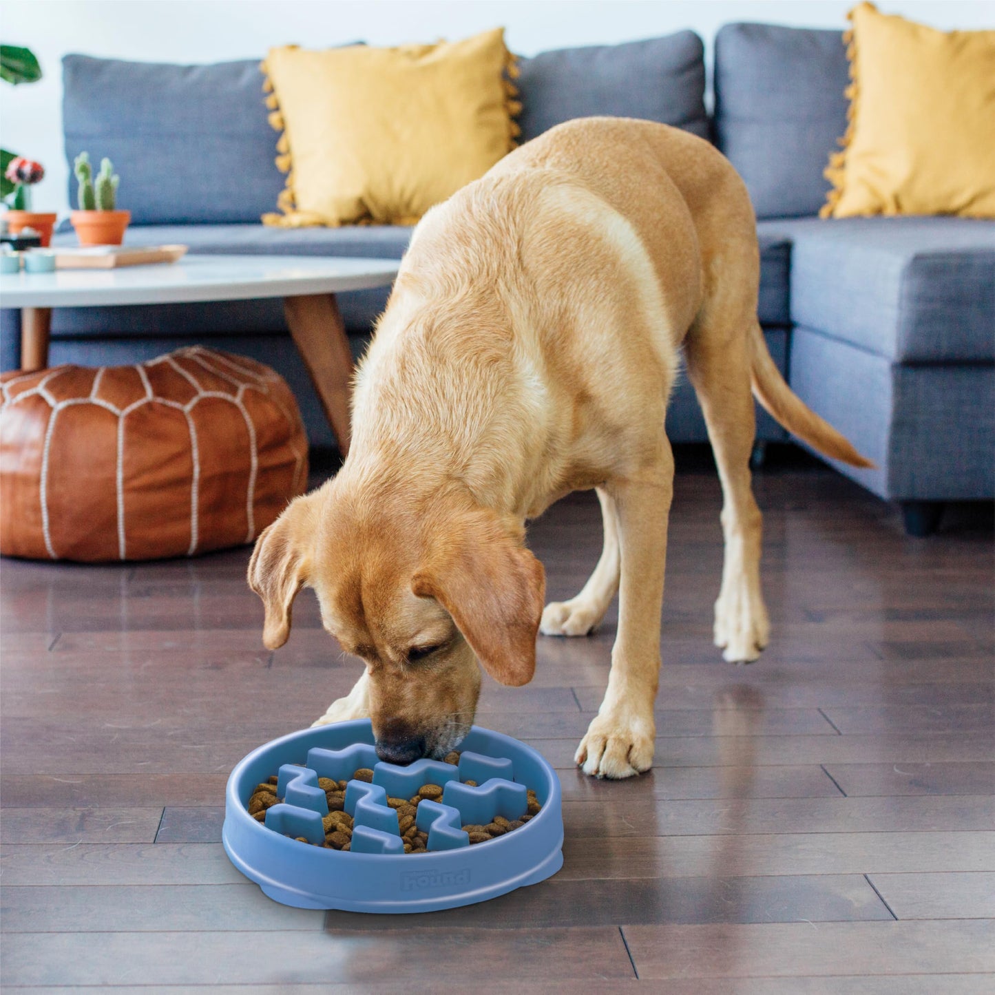 Outward Hound Slow Feeder Dog Bowl - Makes Meal Time Fun, Slows Down Eating, Promotes Healthy Digestion, Prevents Bloat | Slip Resistant and Durable, Food & Water Bowl, Size Large (Blue)