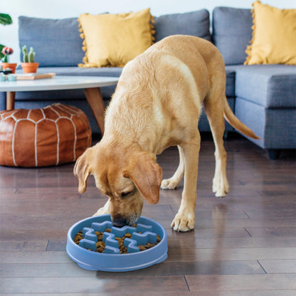Outward Hound Slow Feeder Dog Bowl - Makes Meal Time Fun, Slows Down Eating, Promotes Healthy Digestion, Prevents Bloat | Slip Resistant and Durable, Food & Water Bowl, Size Large (Blue)