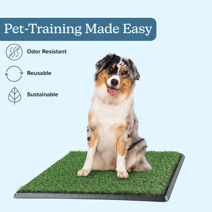 Artificial Grass Puppy Pee Pad for Dogs and Small Pets - 20x25 Reusable 3-Layer Training Potty Pad with Tray - Dog Housebreaking Supplies by PETMAKER, Green