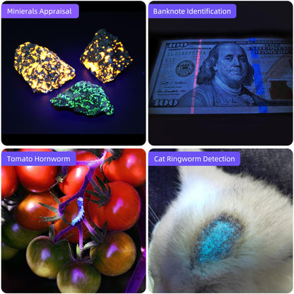 DARKBEAM UV Torch 365nm Black Light and 395nm Blacklight, USB Rechargeable LED Ultraviolet Flashlight, Mini Portable Detector for Pet Urine, Uranium Glass, Rocks, Curing Resin, Leak Detection, 2 Pack