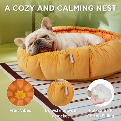 Lesure Cat Beds for Indoor Cats - Washable Cute Cat Beds with Versatile Dual-Use Design, Reversible Donut Pet Bed for Puppy and Kitten, 21x21x7 Inches