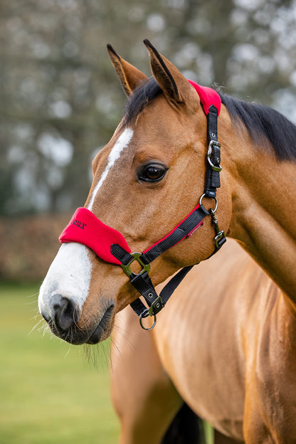 LeMieux Vogue Fleece Headcollar with Lead Rope in Chilli - Extra Padding, Adjustable at Curb and Poll Strap - Cob