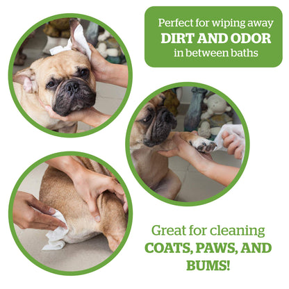 Pogi's Grooming Wipes Home & Travel Bundle - 100-Count Grooming Wipes for Home and 240-Count Packs for Travel