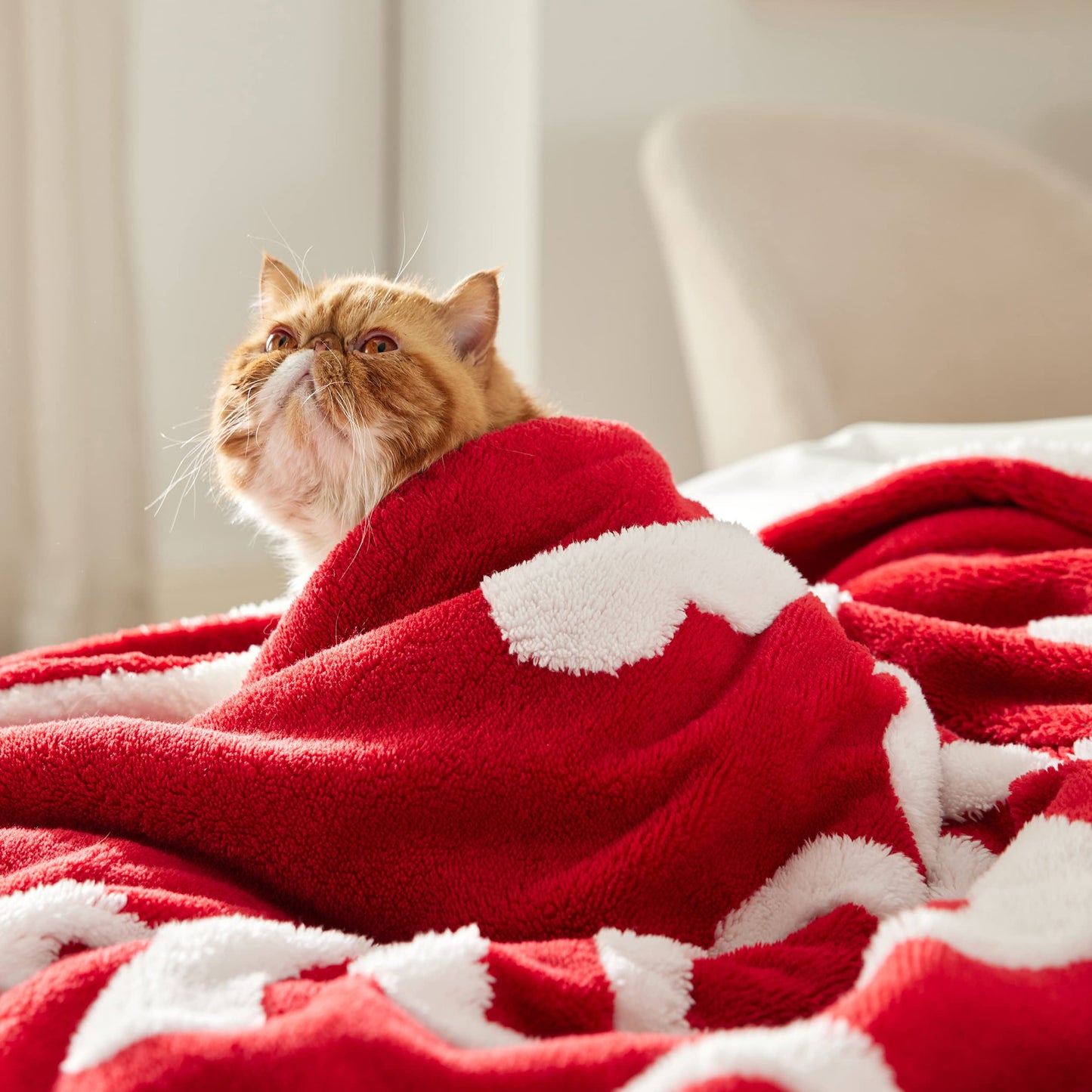 Bedsure Valentines Day Throw Blanket - Soft and Warm Sherpa Heart Throws Valentines Day Gifts for Him and Her, I Love You Red 50"x60"