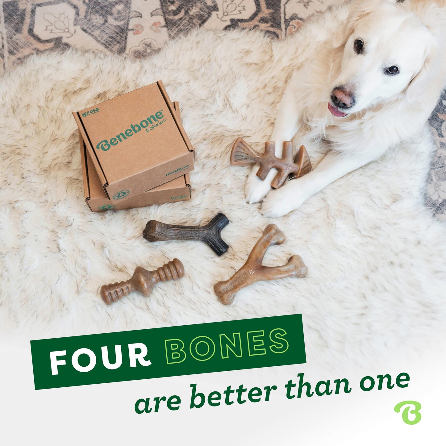 Benebone Indestructible Dog Chew Toy Gift Box for Aggressive Chewers with Wishbone, Fishbone, Stick & Zaggler, Long Lasting Boredom Breakers, 100% Real Flavours, For Small Dogs, Made in the USA.