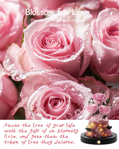 Valentines Day Flowers Roses Gifts for Her,Forever Real Preserved Roses in Glass Dome,Valentines Day Anniversary Birthday Gifts for Wife Girlfriend Women Mom Best Friend Her/Purple Rose