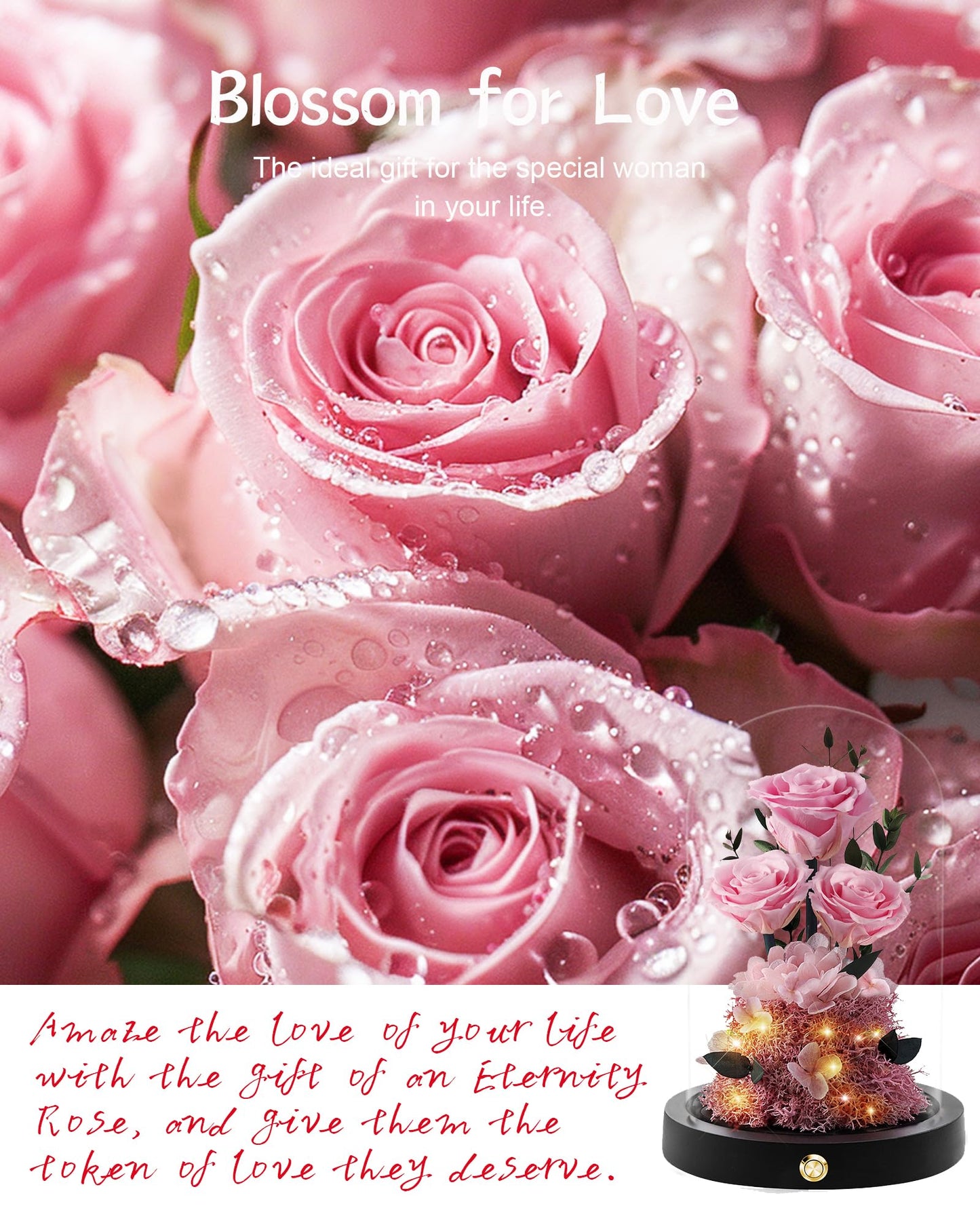 Valentines Day Flowers Roses Gifts for Her,Forever Real Preserved Roses in Glass Dome,Valentines Day Anniversary Birthday Gifts for Wife Girlfriend Women Mom Best Friend Her/Purple Rose