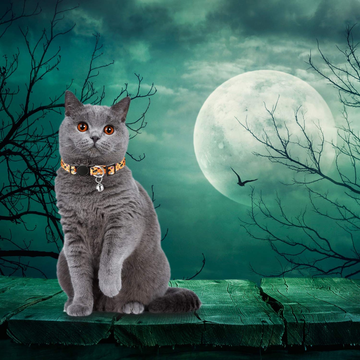 Weewooday 6 Pieces Halloween Cat Collar, Breakaway Cat Collars with Bell, Safety Buckle Soft Adjustable Pet Collar with Skull Pumpkin Patterns for Kitten Kitty Halloween Christmas Party