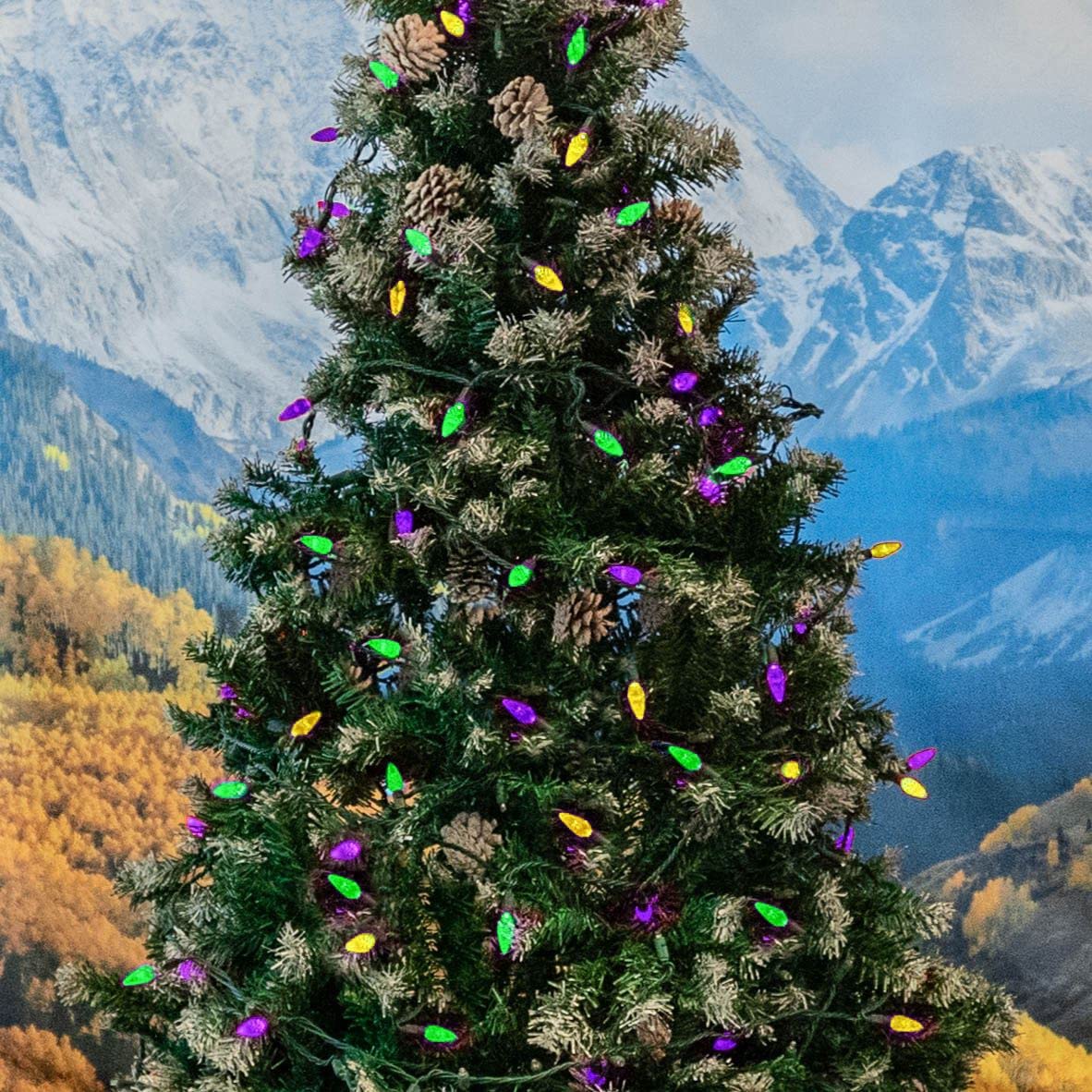 Novelty Lights 24FT 70 Light Purple Green and Yellow LED Mardi Gras Lights, C6 Bulbs, Connect up to 43 Sets, Indoor/Outdoor Use